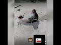 funny monkey 🐒🐒🐒🐒🐒🐵🐵🐵🐵