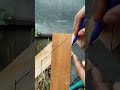 The perfect wood joining technique #diy #woodworking #classicwood #wood #carpenter