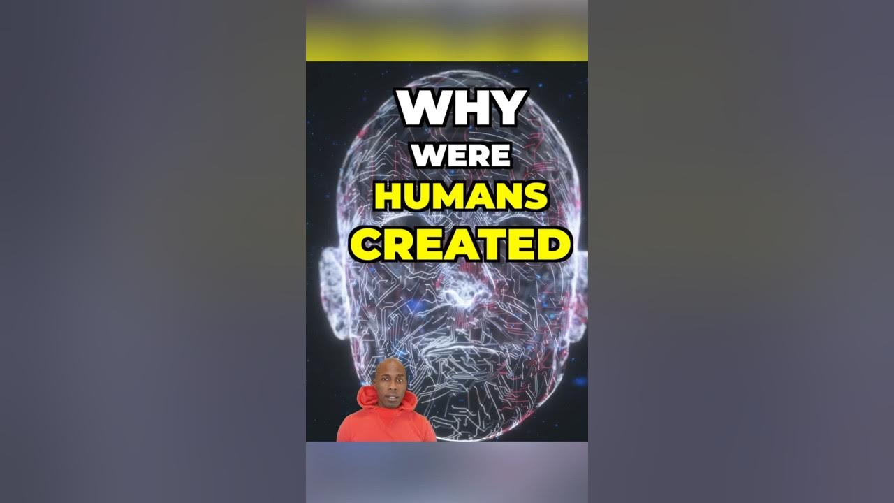 why-were-humans-created-youtube