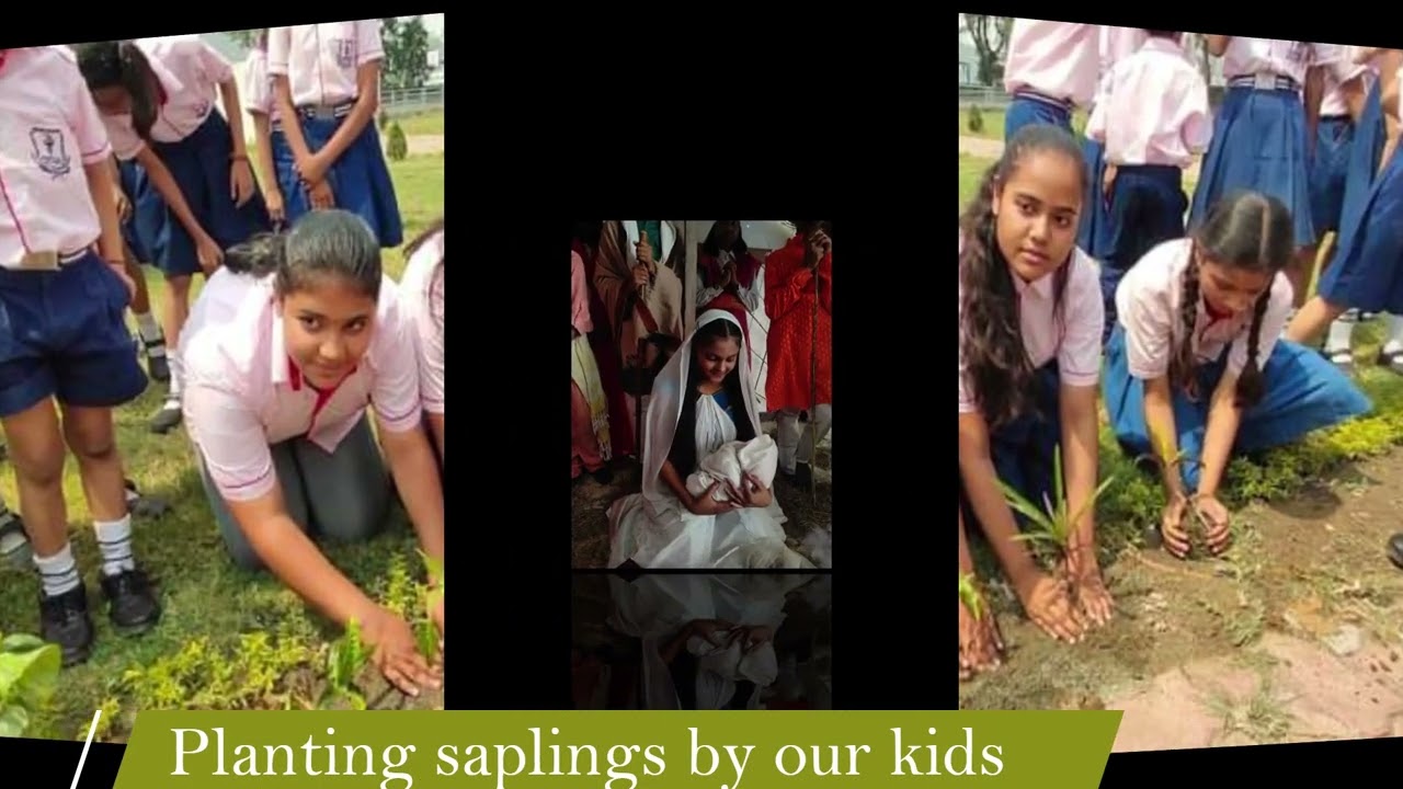 MONFORT ACADEMY PTM2022