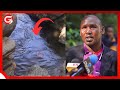 MTOTO Wa MIAKA 4 AHOFIWA KUFARIKI Kwa KUZAMA MTONI VIJANA WAZAMIA SIKU 6 HAJAONEKANA MTOTO Wa MIAKA 4 AHOFIWA KUFARIKI Kwa KUZAMA MTONI VIJANA WAZAMIA SIKU 6 HAJAONEKANA