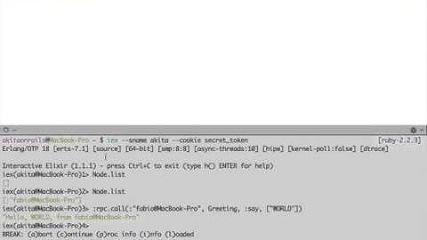 Erlang/Elixir clustering of multiple processes