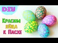 Необычный Способ Покрасить Пасхальные Яйца / How to Dye Easter Egg / DIY NataliDoma