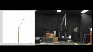 Comparison between a simulation and real experiment Wealth