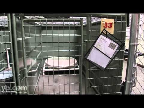 Camp Bow Wow | Dog Kennel | Boulder CO 