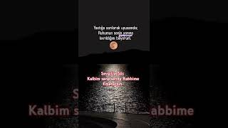 Öz Şfet Ölgeyozgat Şk