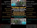 Pudukottai Fire Tragedy | One Life Lost