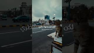 شوف رزقك الدنيا واسعه