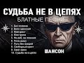 Саша Север Судьба не в Цепях Новинка 2025 Блатные Песни и Русский Шансон для Души