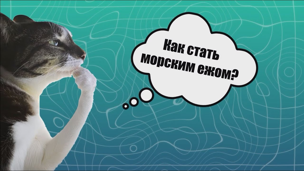 Отравление сметаной