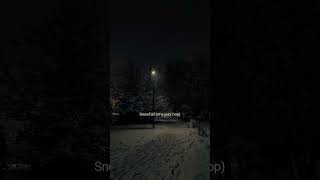 Snowfall (Remix Jazz Hop,Lofi,Boombap)