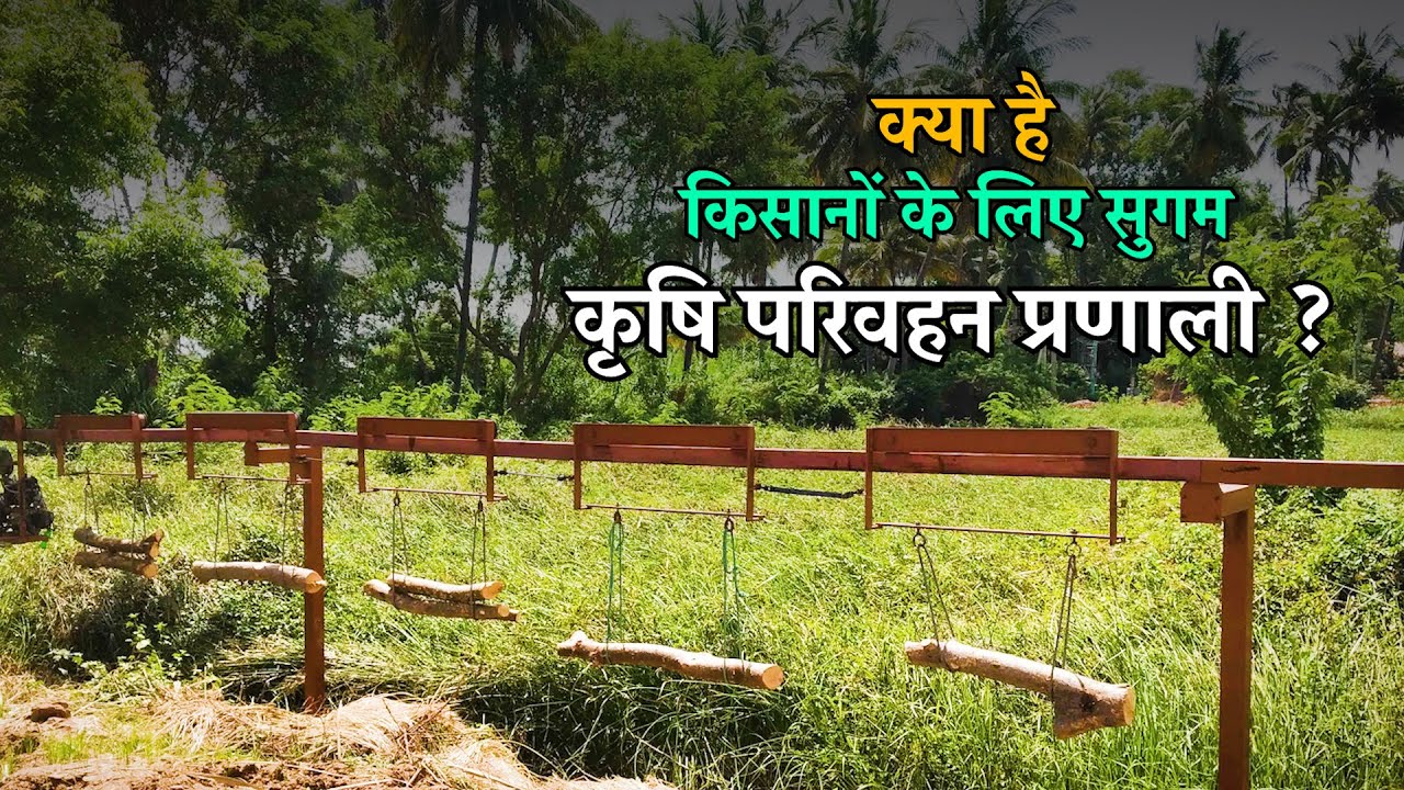 A cost-effective and simple agriculture transportation system