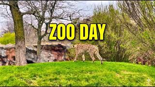 My First Toronto Zoo Visit