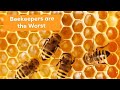 Swarmstead bees live chat  trying to make sense of anti treatment free beekeepers