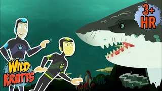 Secrets of the Sharks | Full Episodes | Wild Kratts