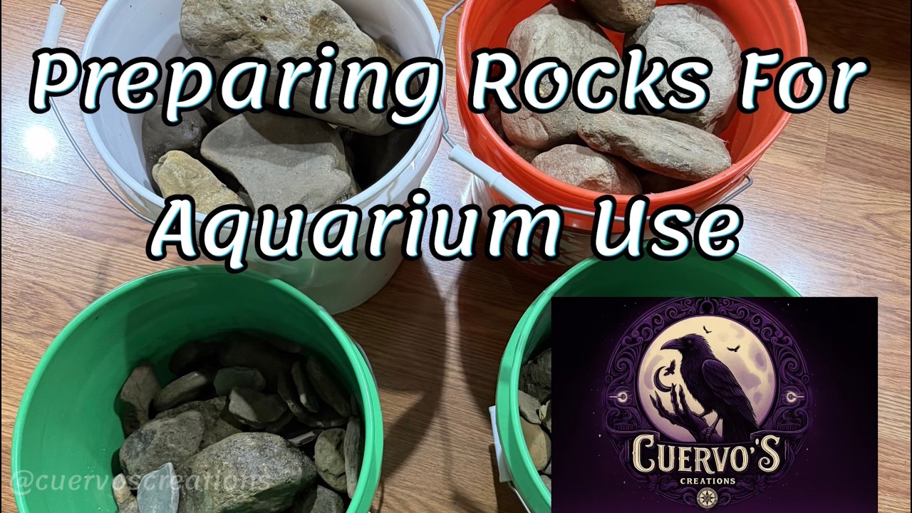 Preparing rocks for aquarium use