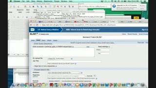 Bioinformatics 3