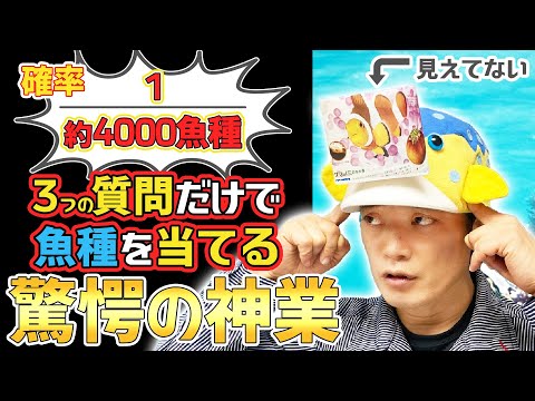 さかなくん 5000000016278_02.jpg