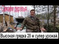 Высокая грядка 28 м супер урожай. Сажаем деревья...