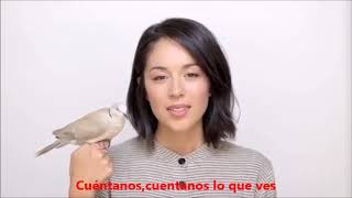 Kina Grannis -  Birdsong -  Subtitulada Español