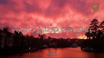 ولا تستوي // الشيخ محمد اللحيدان - آيات من كتاب الله