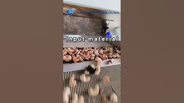 Cashew color sorter machine #classictechnologies #machine #sorting #aura #cashewnuts #cashew