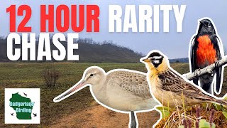 We Have 12 Hours to Find as Many Rare Birds as Possible