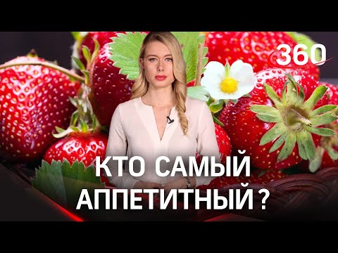 Выбираем самых вкусных: стартовал гастрономический конкурс «Вкусы России»