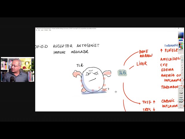 Low Dose Naltrexone (LDN) - Mechanism of Action class=