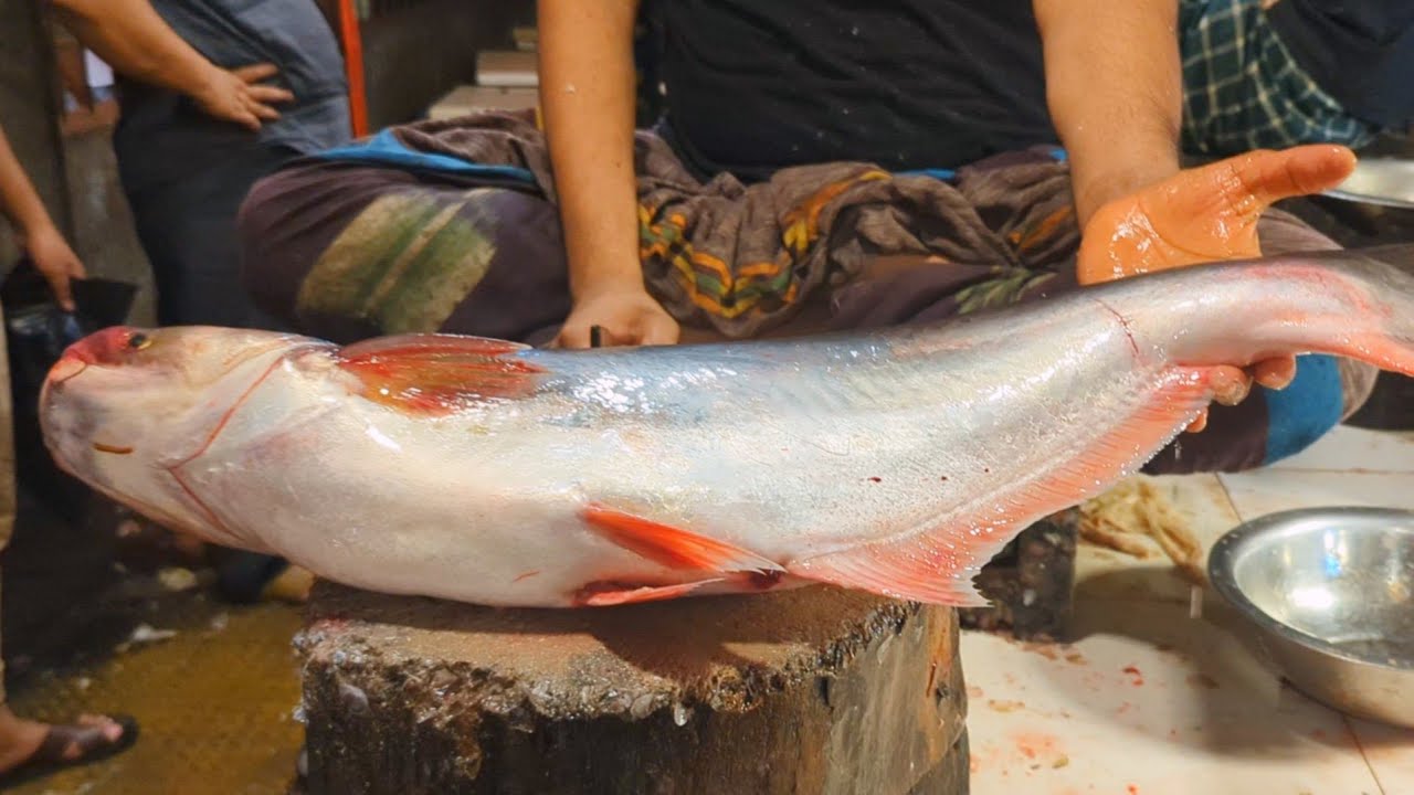 Big Pangas/Catfish Cutting In Bangladesh Fish Market | Fis...#food ...
