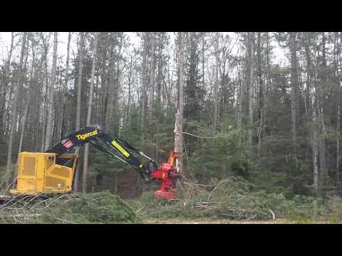 Quadco 2900 on Tigercat. Hydro One Ontario Summer