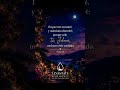 Sigue orando #fe #levantadospordios #reflexion #amor #dios