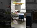 POV :Tu demandes l’amour de ta vie en mariage #humour #drole #catmemes #pov