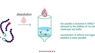 Belyntic PEC Technology Animation