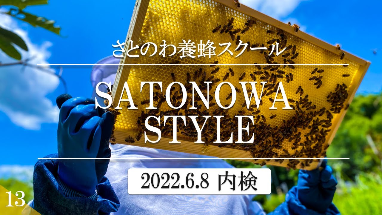[養蜂入門]梅雨の養蜂 ダニ対策について 13