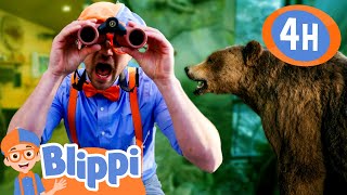 Exploring Nature at MK Nature Center | BLIPPI | Kids TV Shows | Cartoons For Kids | Fun Anime screenshot 1