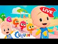 🔴 DIRECTO 🔴 Canciones infantiles y vídeos educativos de Cleo y Cuquín