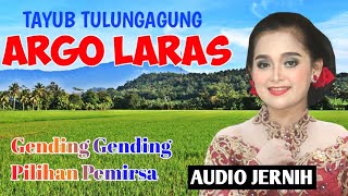 Tayub Tulungagung Full Album MP3   Iromo Rancak