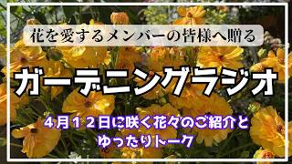 【メンバーシップ動画】誕生花・園芸予備校・メッセージのご紹介・朗読＆本日の言葉