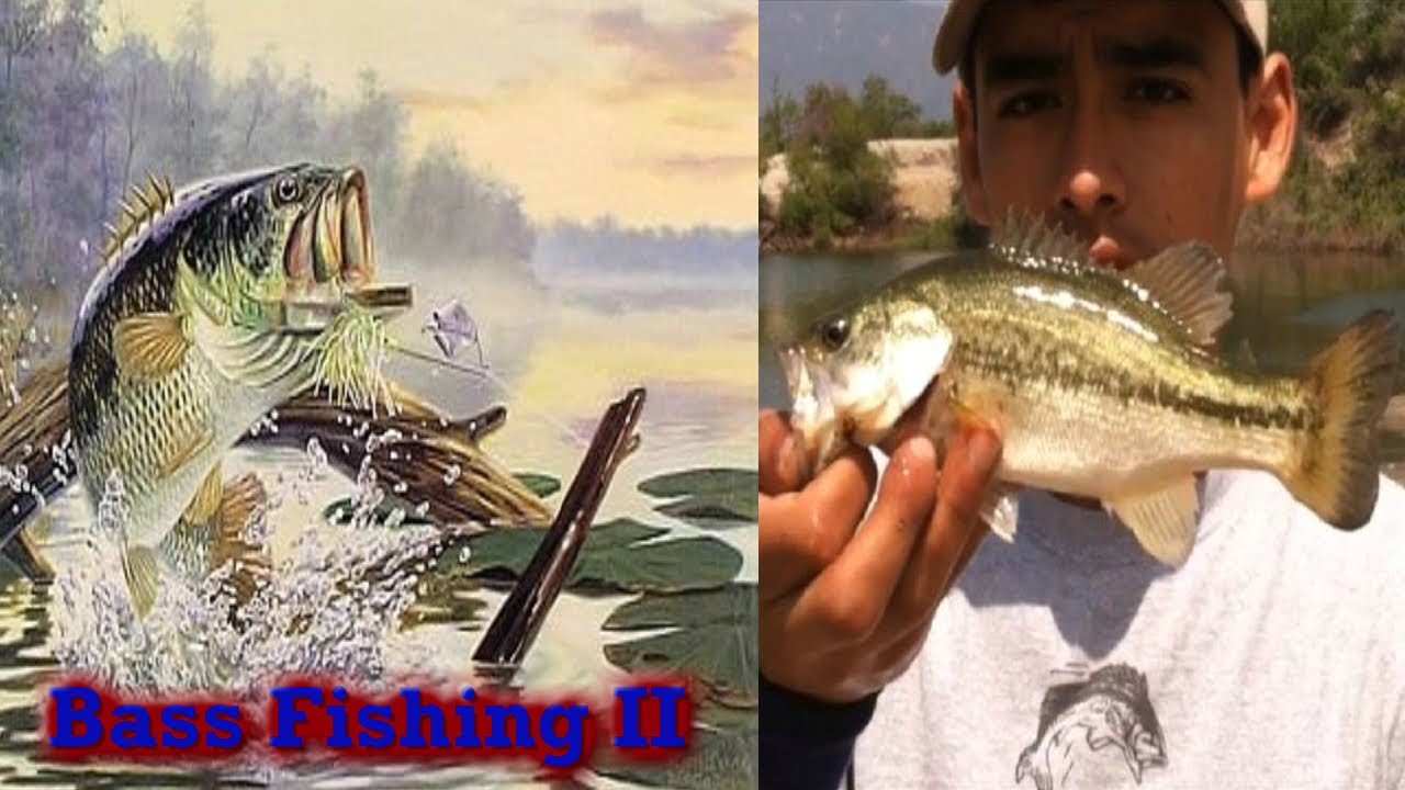 Bass Fishing 2 Peck Road Bass/Drop Shot YouTube
