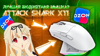 :   ? ATTACK SHARK X11