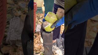 Coconut Peeling Cutting Skill - Fruits Cutting Skill
