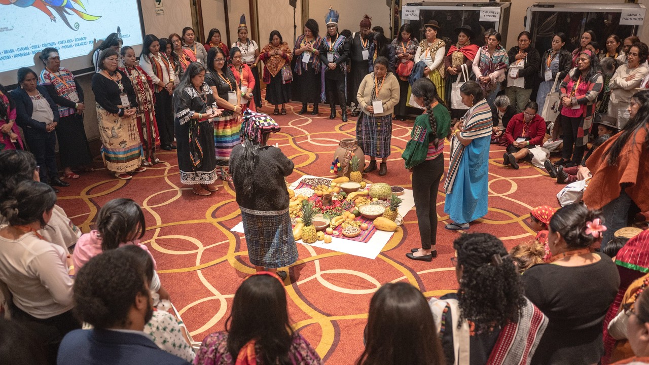 XI Encuentro Continental de Mujeres Indígenas de las Américas