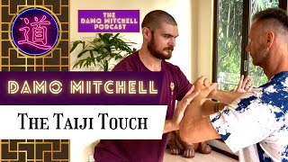 DMP #43 - Quality of Touch in Taiji