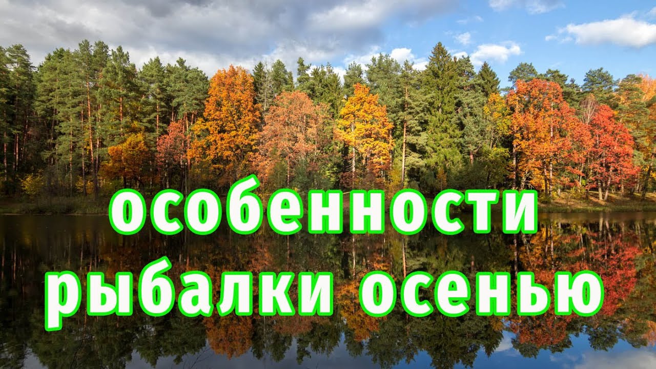 В такую погоду Клюёт Щука Всегда!  Рыбалка на спиннинг осенью!