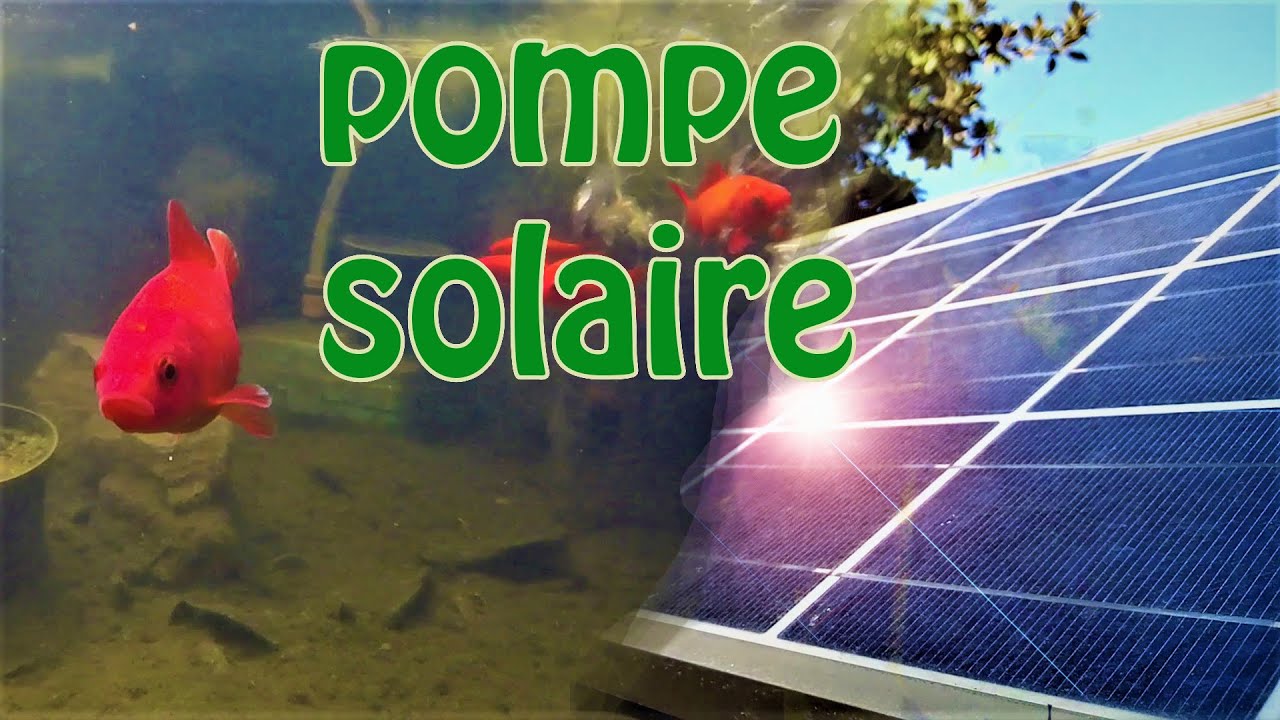 Kit pompe solaire bassin jet d'eau Pro Batt Led 2600L-100W avec