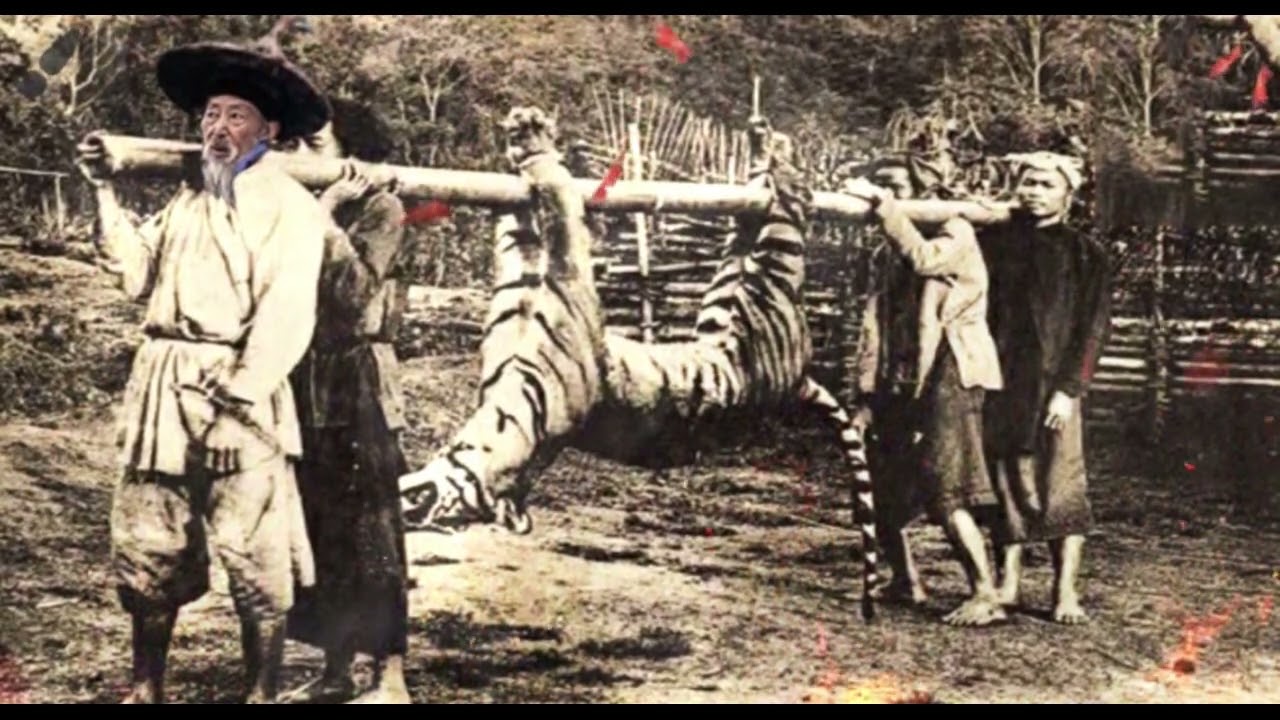 Tuam Leej Kuab The Hmong Shaman Warrior (Part 1180)