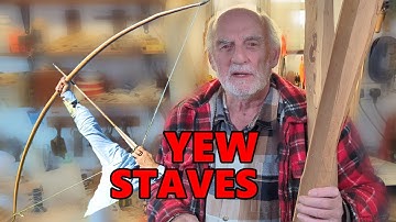 Yew staves for making a longbow
