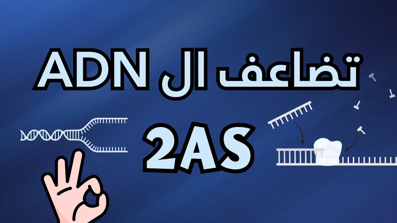 تضاعف الADN / تطور كمية ال ADN|ثانية ثانوي|شرح تجارب مسلسون و ستال بأبسط الطرق😍👌