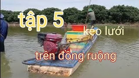 ( tập 6) kéo lưởi bằt cá trên đồng ruộng mùa nước nổi
